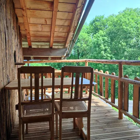 Accotinae - Guest house